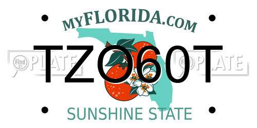 TZO60T Florida License Plate