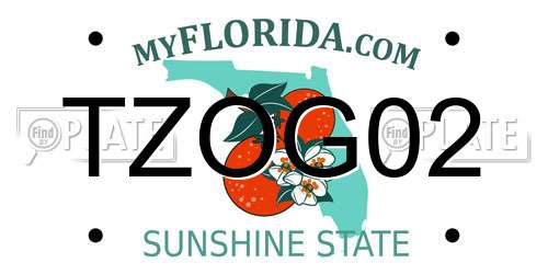 TZOG02 Florida License Plate