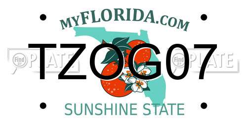 TZOG07 Florida License Plate