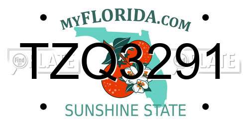 TZQ3291 Florida License Plate