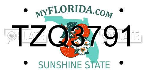 TZQ3791 Florida License Plate