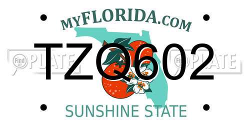 TZQ602 Florida License Plate