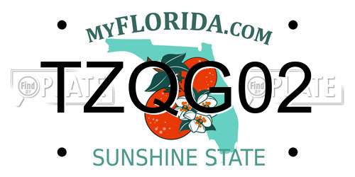TZQG02 Florida License Plate