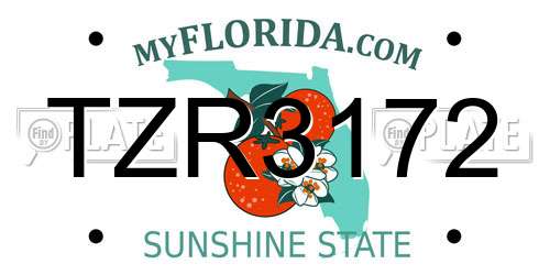 TZR3172 Florida License Plate