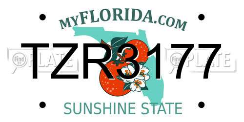TZR3177 Florida License Plate