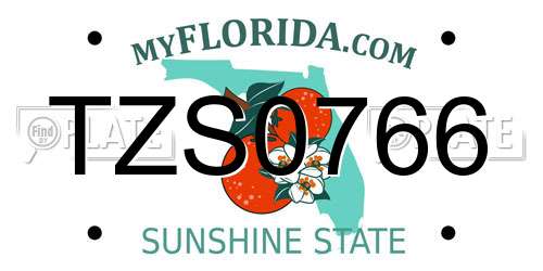 TZS0766 Florida License Plate