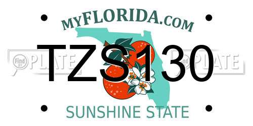 TZS130 Florida License Plate