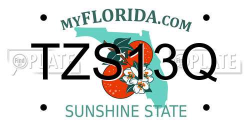 TZS13Q Florida License Plate