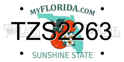 TZS2263 Florida License Plate