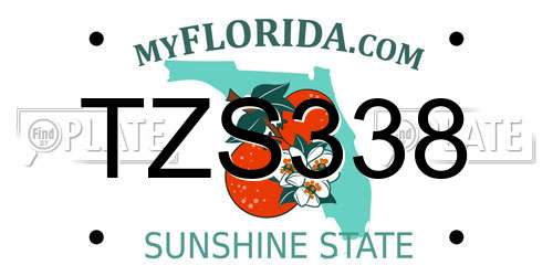 TZS338 Florida License Plate