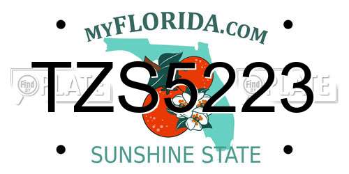 TZS5223 Florida License Plate