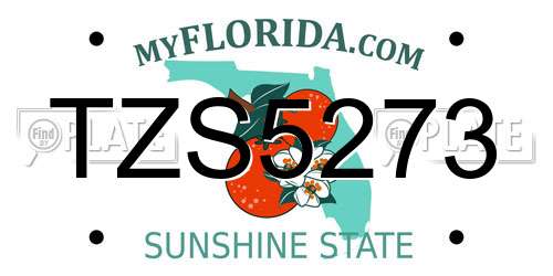 TZS5273 Florida License Plate