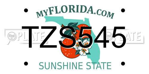 TZS545 Florida License Plate