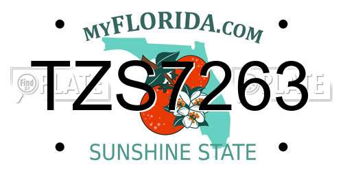 TZS7263 Florida License Plate