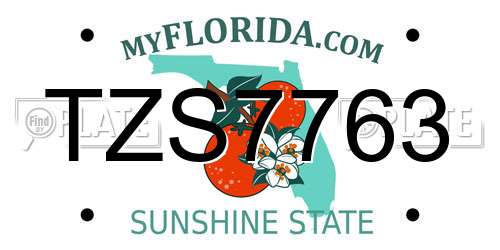 TZS7763 Florida License Plate