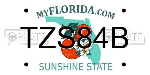 TZS84B Florida License Plate