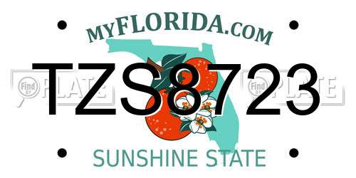TZS8723 Florida License Plate