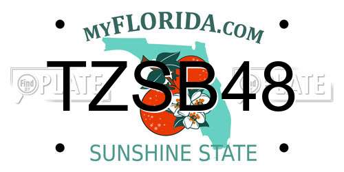 TZSB48 Florida License Plate