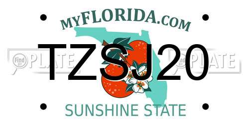 TZSJ20 Florida License Plate