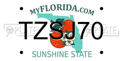 TZSJ70 Florida License Plate