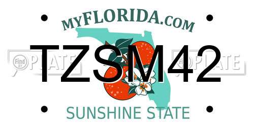 TZSM42 Florida License Plate