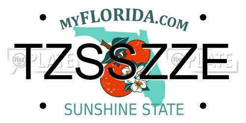 TZSSZZE Florida License Plate
