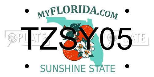 TZSY05 Florida License Plate