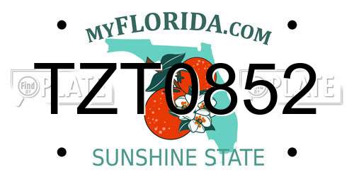 TZT0852 Florida License Plate