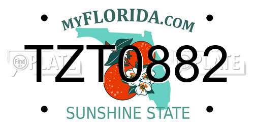 TZT0882 Florida License Plate