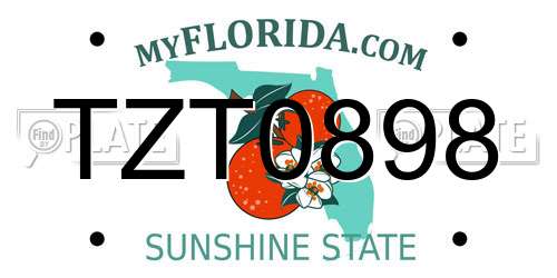 TZT0898 Florida License Plate