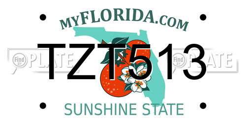 TZT513 Florida License Plate