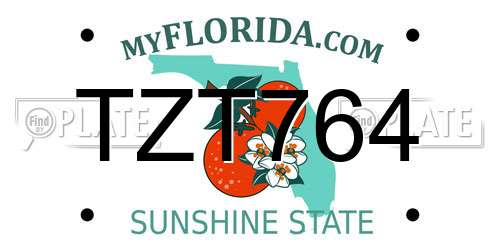 TZT764 Florida License Plate