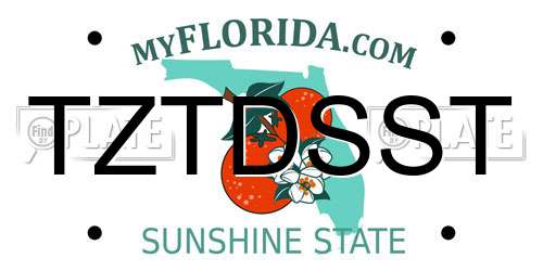 TZTDSST Florida License Plate