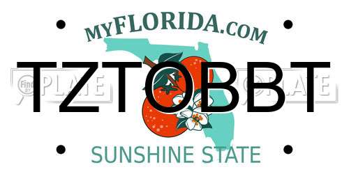 TZTOBBT Florida License Plate