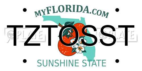 TZTOSST Florida License Plate