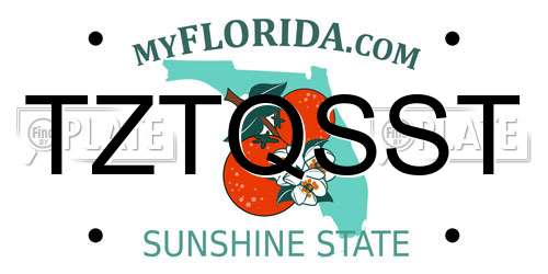 TZTQSST Florida License Plate