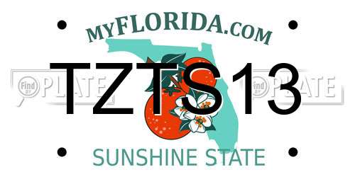 TZTS13 Florida License Plate