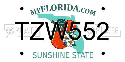 TZW552 Florida License Plate