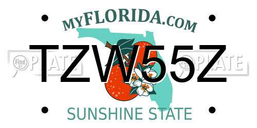 TZW55Z Florida License Plate