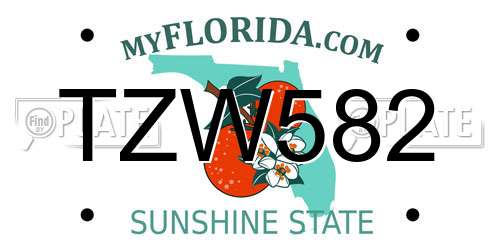 TZW582 Florida License Plate