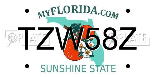 TZW58Z Florida License Plate
