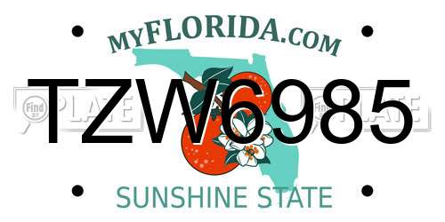 TZW6985 Florida License Plate