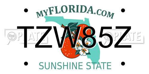 TZW85Z Florida License Plate