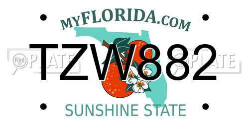 TZW882 Florida License Plate