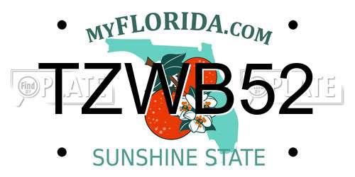 TZWB52 Florida License Plate