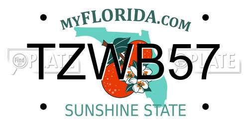 TZWB57 Florida License Plate