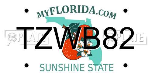 TZWB82 Florida License Plate