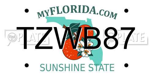 TZWB87 Florida License Plate