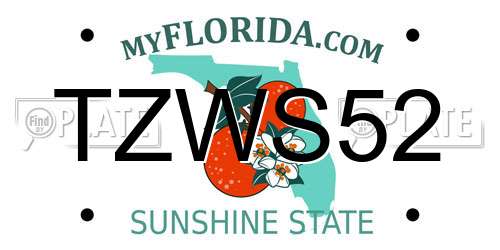 TZWS52 Florida License Plate