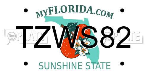 TZWS82 Florida License Plate